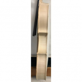 5 String White Viola, 15 1/2"  Maggini Model