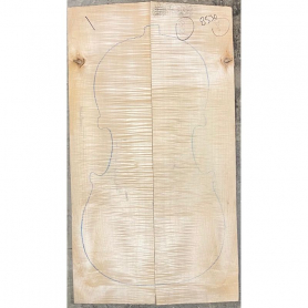 Cello Back with Sides, Maple