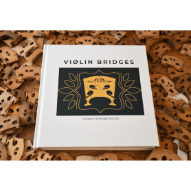 Violin Bridges I  by Gerard KilBride