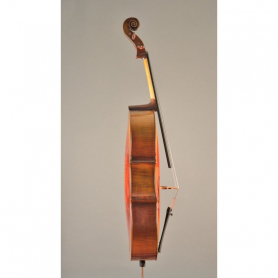 Cedar Strings Carved Cello, C