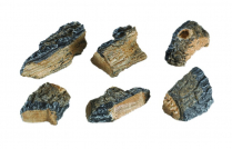 CHARRED WOOD CHIPS (6)