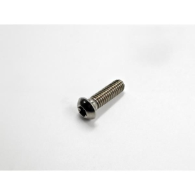 BOULON TORX 3/8" X 1-1/8" INOX