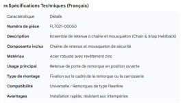 CHAIN & SNAP ONLY HOLDBACK