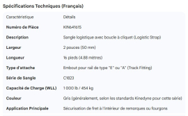 KINEDYNE LOGICTIC STRAP 2" C1823 1" TRACK FITTING 16'