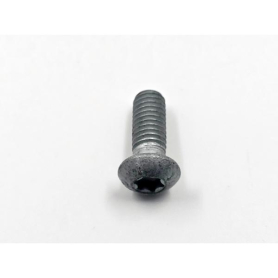 WABASH BOTTOM RAIL 3/8 X 1" TORX BUTTON BOLT