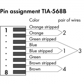 WAGO | 750-977/000-012 | CONNECTOR ETHERNET; RJ-45; CAT. 6A;