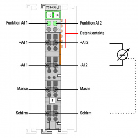 WAGO | 753-456 | 2-CHANNEL ANALOG INPUT; ±10 VDC; DIFFERENTI