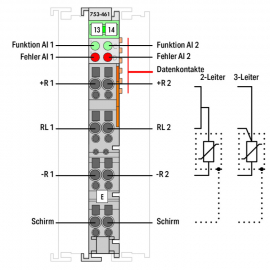 WAGO | 753-461 | 2-CHANNEL ANALOG INPUT; FOR PT100/RTD RESIS