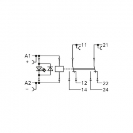 WAGO | 788-906 | RELAY MODULE; NOMINAL INPUT VOLTAGE: 24 VDC