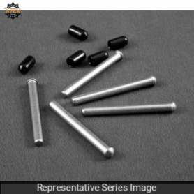 HAMMOND | EPINSS | SS HINGE PINS (QTY 5)
