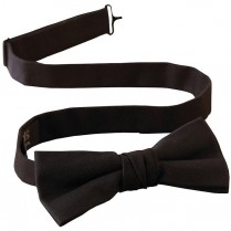 Edwards Bow Tie