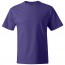 Hanes Beefy-T Tee Shirt