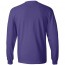 Hanes Long Sleeve Beefy-T Tee Shirt