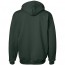 Hanes F170 Ultimate Heavyweight Cotton Hoodie