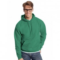 Hanes Ecosmart Hooded Sweatshirt