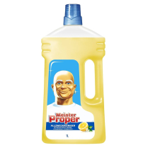 PG31504 MR. CLEAN 3.78L