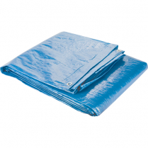 NI776 30' x 20' BLUE