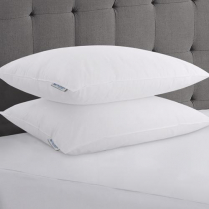 Best Western Aurora™ Pillow with Nexus AM™