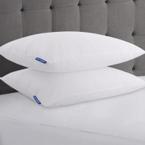 Best Western Victoria™ Pillow with Nexus AM™