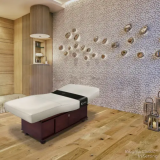 LEC Insignia Classic Treatment Table