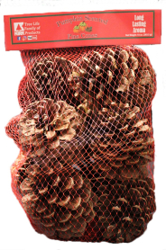 Kirk Pumpkin Scented Pine Cones 10oz, 20/Case