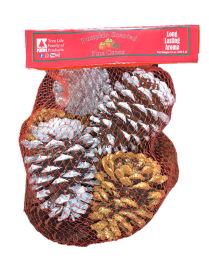 Kirk Painted Cinnamon Scented Pine Cones, 10oz 20/Case