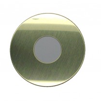 Progressive 198 Round Scar Plate, 3-1/16" OD, 1-1/4" Hole