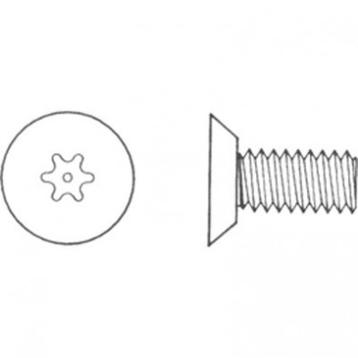 Sentry Security 1/4-20x1/2" UCFHMS T25 SSTL, Torx (100/Pk)