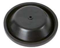 Diaphram- Bilge