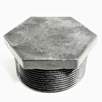 Plug- 2in Npt
