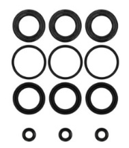 Kit - Seal CAT Pump 3DX