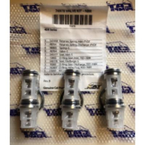 Kit – Valves CAT Pump 4DX