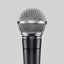MICRO VOCAL CARDIOIDE  DYNAMIQUE 50HZ-15KHZ SANS CABLE