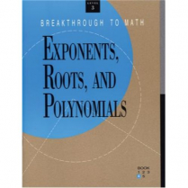 BTM Level 3 Exponents, Roots and Polynomials     (833)