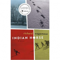 Indian Horse   (B311)