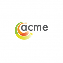 ACME Phenyl, 10 x 3.0/4.6mm, 1.9um, 120A, UHPLC Guard Cartri