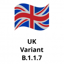 UK Variant, 1mg