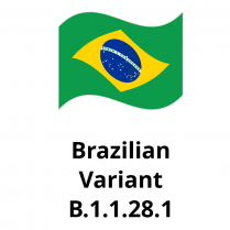 Brazil Variant, 100ug