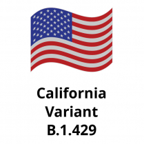 B.1.429  (California Variant) (100ug)