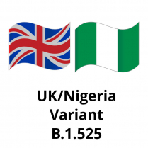 B.1.525  (UK/Nigerian Variant) (1mg)