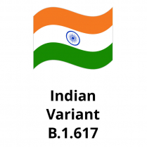 Indian Variant, 100ug