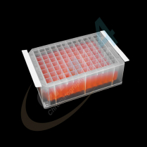 Polyester Seal, Thin, Adhesive, Not Sterile