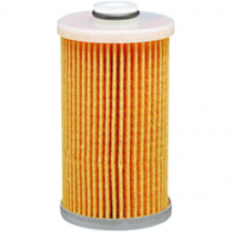 Fuel Element