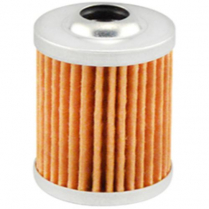 Fuel Element