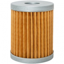 Fuel Element