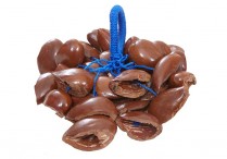 NUTSHELL HAND RATTLE