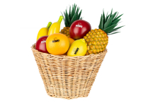 FRUIT SHAKERS 18-Piece with Basket