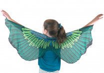 Dance Wings BIRD