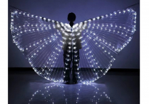 LIGHT-UP DANCE WINGS White