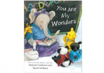 YOU ARE MY WONDERS  Hardback